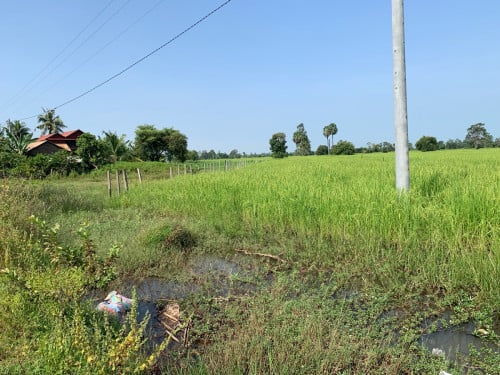 ដីលក់បន្ទានក្បាល20*70បណ្ដោយ​  ចុះពីផ្លូវជាតិលេខ6 ជាង7គីឡូូ