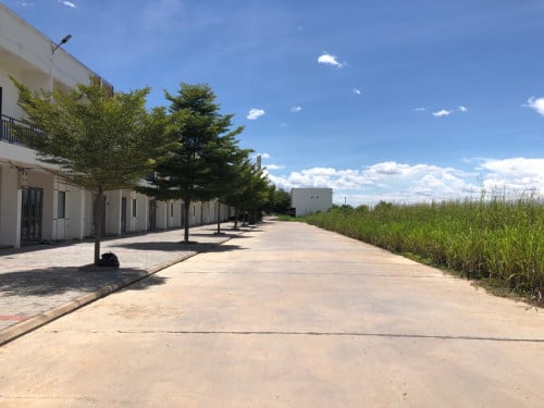 ដីលក់ធានាក្រោមទីផ្សារ