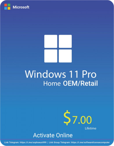 Windows 11 Pro oem/retail key