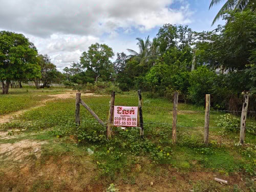 ដីលក់ឬជួល