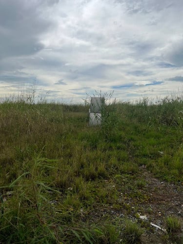 ដីឡូតិ៏​ 5x22m