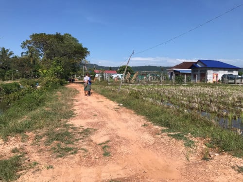 ដីលក់