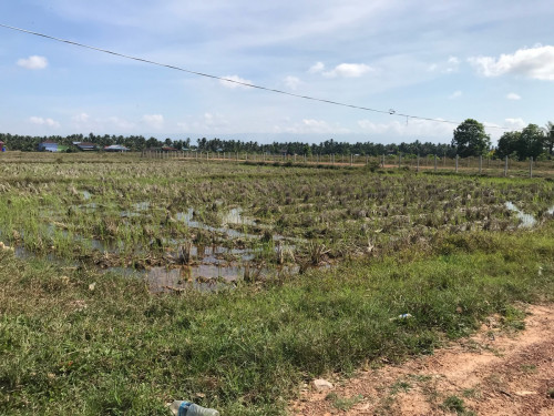 ដីលក់