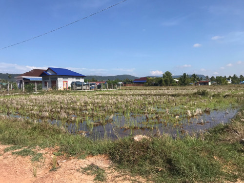ដីលក់