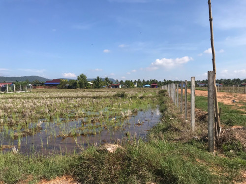 ដីលក់
