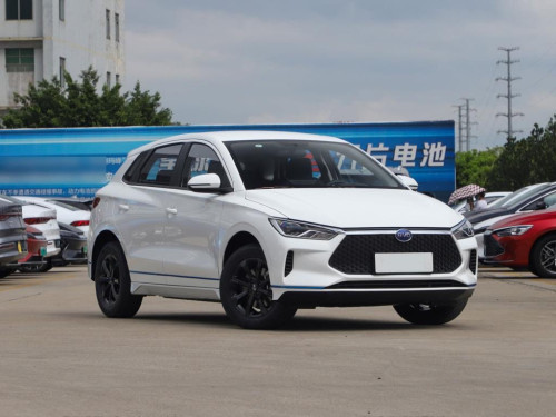 BYD 2021 EV Car For Rental 汽车出租