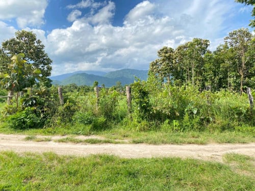 ដីលំហែលលក់បន្ទាន់ 40m x 75m