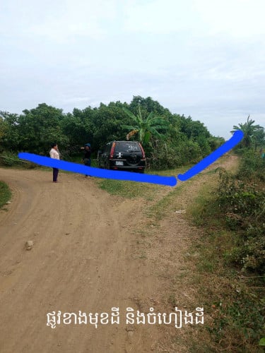 ដីចម្ការស្វាយជាប់មាត់ព្រែកធំ