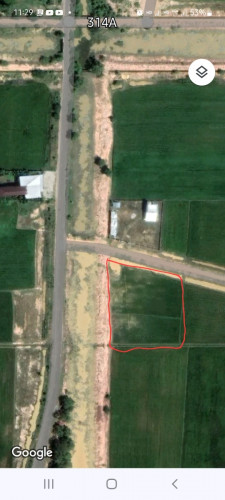 ម្ចាស់ផ្ទាល់