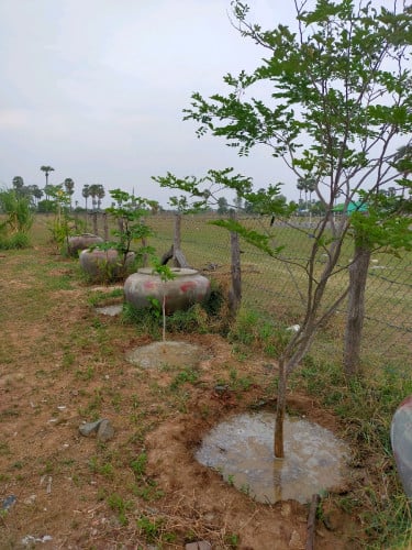 ដីសម្រាប់ធ្វើផ្ទះលំហែរក្បែរជើងភ្នំបាសិទ្ធ។