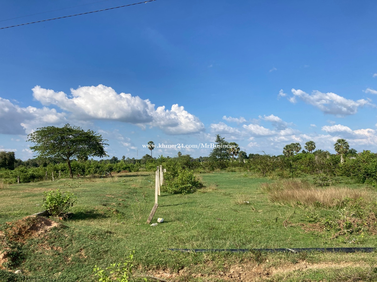 ដីលក់មិនប្រយ៉ាប់ Price 99999.00 in Roka Kaoh, Kong Pisei, Kampong Speu