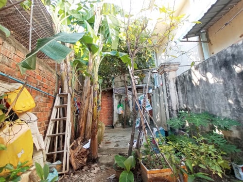 ដីជួល (90$)