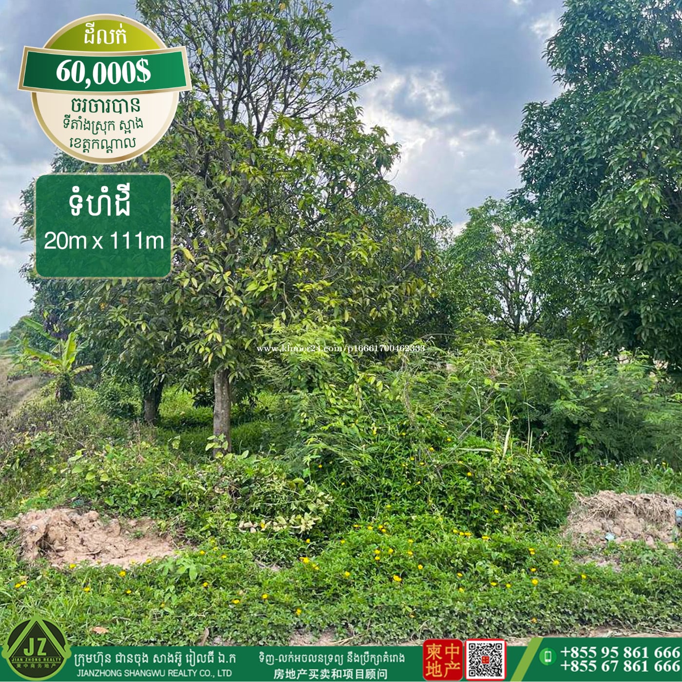 #ដីចំការស្វាយ លក់បន្ទាន់🎉🎉🎉