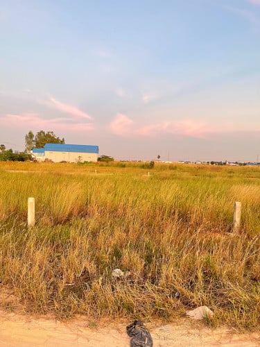 ដីលក់បន្ទាន់ (ប្រញ៉ាប់លុយ) ជិតផ្សារព្រៃទទឹង ផ្លូវជាតិលេខ៣