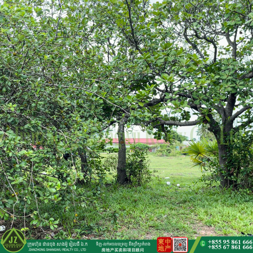 #ដីលក់សម្រាប់លក់ ខេត្តពោធិសាត់