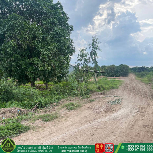 #ដីចំការស្វាយ លក់បន្ទាន់🎉🎉🎉