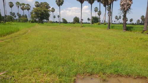 ដីលក់ ខេត្តកណ្តាល