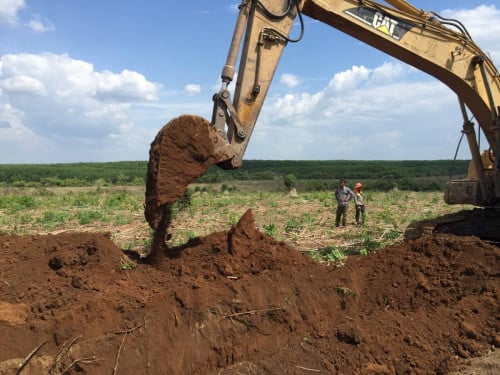 30 hectares  ដីប្លង់រឹង​លក់ $9,500/hectare