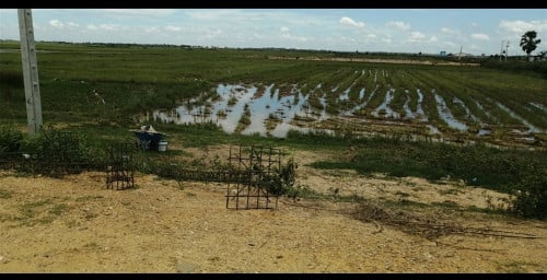 ដីសម្រាប់លក់