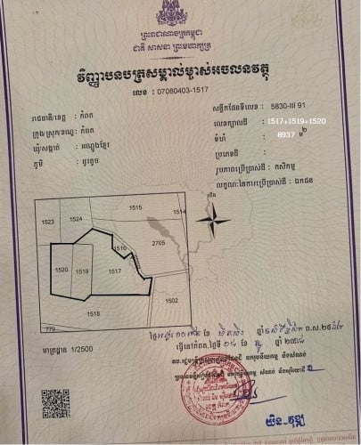 ប្លង់រឹង