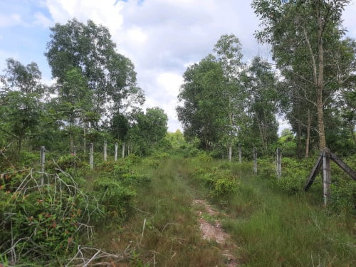 ដីលក់ ខេត្តកែប