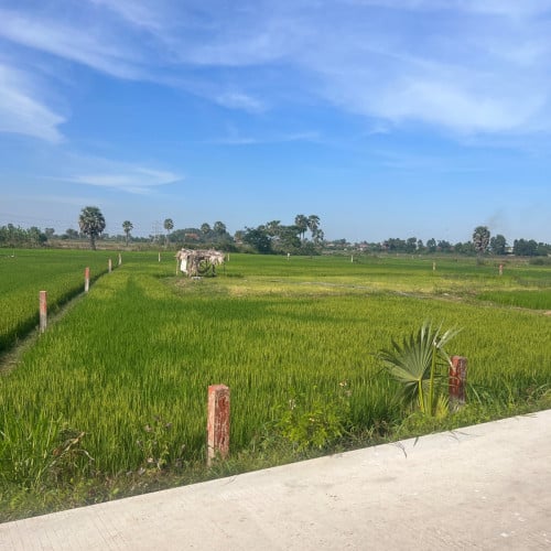 ដីនៅបាក់ដាវ ក្រុងអរិយក្សត្រលក់បន្ទាន់