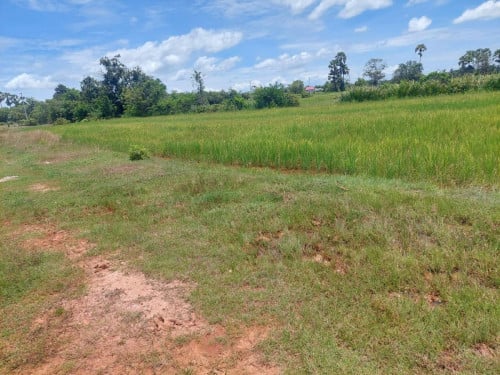ក្បាល 60mx27m លក់តែ 7500$ ទេ ប្លង់រឹងទៀត