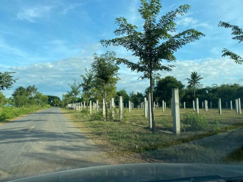 ដីគម្រោងអភិវឌ្ឍន៏ លក់ទាំងអស់