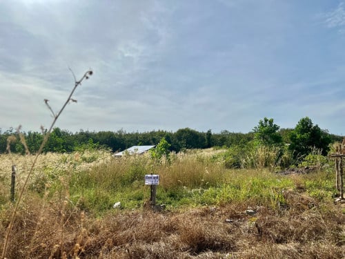 ដីលក់បន្ទាន់