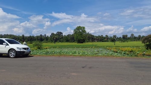 លក់ដីនៅជាប់ផ្លូវជាតិ71C ស្រុកក្រូចឆ្មារ (ខ្ញុំម្ចាស់ផ្ទាល់)