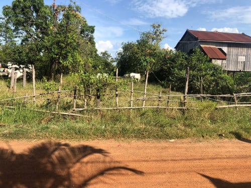 ដីលក់បន្ទាន់