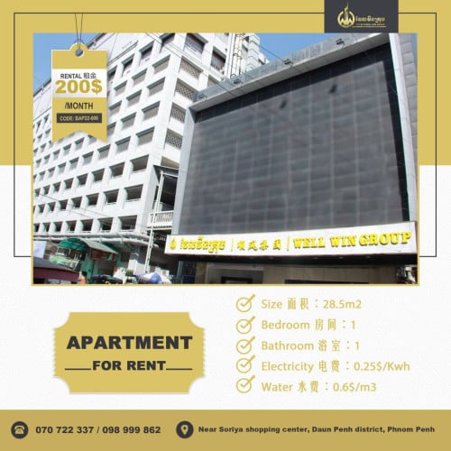 Apartment for rent (公馆出租)