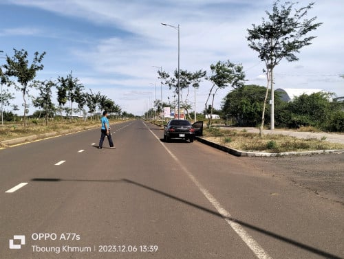 ដីលក់ ឬដូឡាន