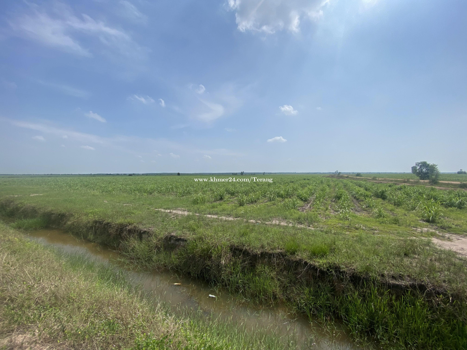 Land for Sale at Svay Rieng 8.6ha ដីវិនិយោគលក់នៅខេត្តស្វាយរៀង 8