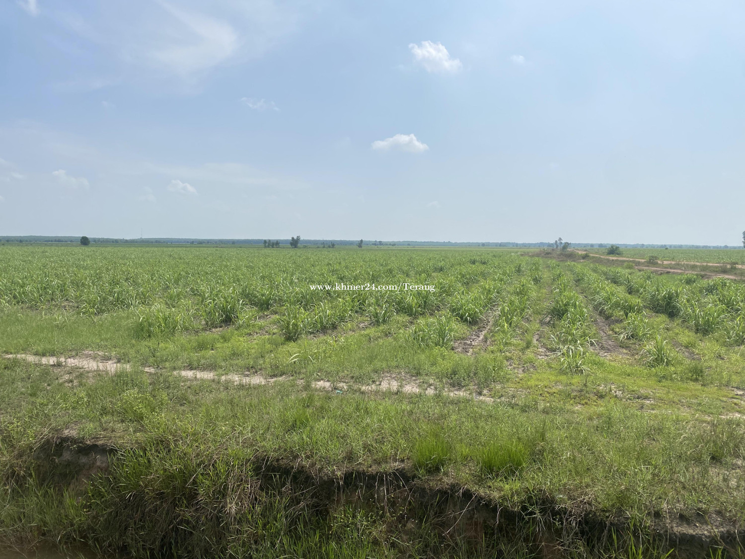 Land for Sale at Svay Rieng 8.6ha ដីវិនិយោគលក់នៅខេត្តស្វាយរៀង 8