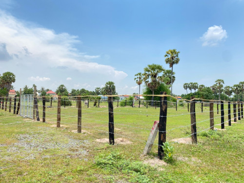 ដីលក់ ក្បែរវត្តភ្នៀត