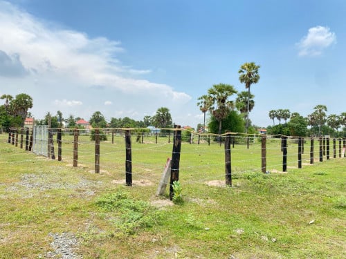 ដីលក់ ក្បែរវត្តភ្នៀត