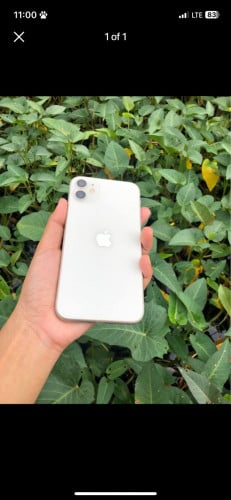 iPhone 11