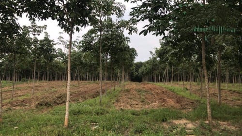 🏦Land for Urgent Sale (Negotiable), ABA Loan Available.