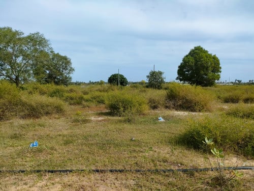 🏦Land Available for Urgent Sale at a Special Price (Negotiable).