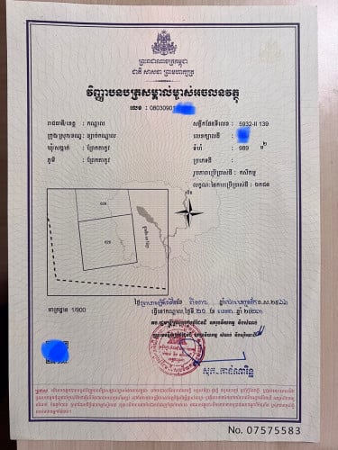 ដីក្រុងអរិយក្សត្រលក់$199