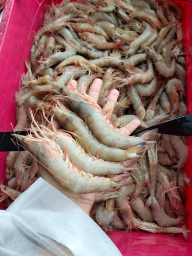 បង្គារឪខាក់ធម្មជាតិគ្រាប់ធំៗ