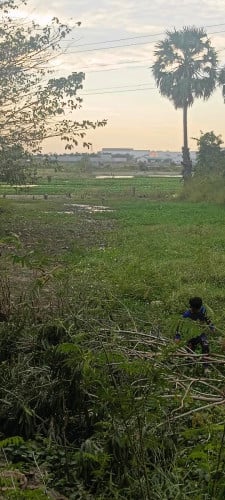 ដីជួរផ្លូវបេតុងទី3ខាងត្បូងវត្តតាក្របៅចំងាយ500m និងខាងកើតអុីអន3ចំងាយ1km