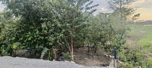 ដីនៅជួរផ្លូវបេតុងទី3ខាងត្បូងវត្តបុទុមសាគរហៅវត្តតាក្របៅ500mនិងខាងកើតអុីអន3១kmសង្កាត់ដើមមៀនក្រុងតាខ្មៅ