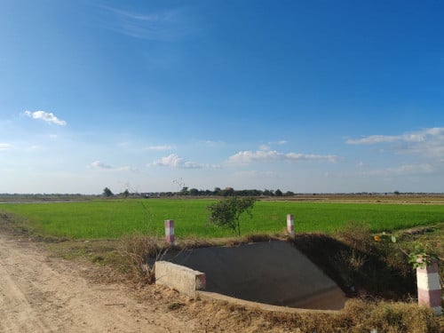 ដីកសិកម្មលក់បន្ទាន់ 9ហត