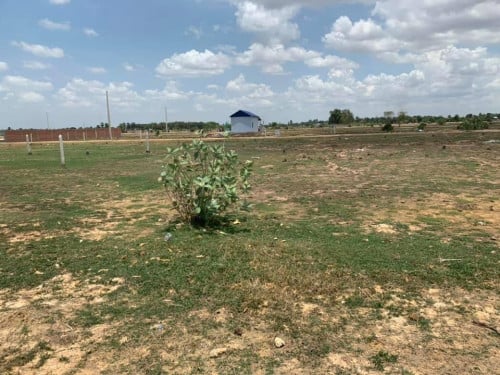 ដីលក់ ​​10m x 20m