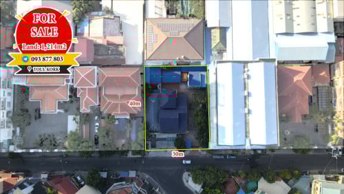 ដី និងផ្ទះវីឡាលក់ជិតខុនដូរDeCastle Diamond