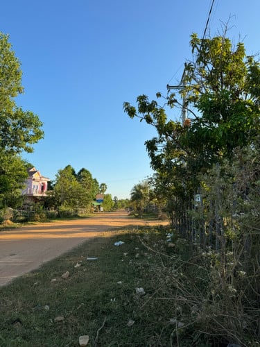 ដីភូមិមានដាំដើមស្វាយ កែវរមៀត ជិត១០០ដើម  មានផ្លែស្រាប់