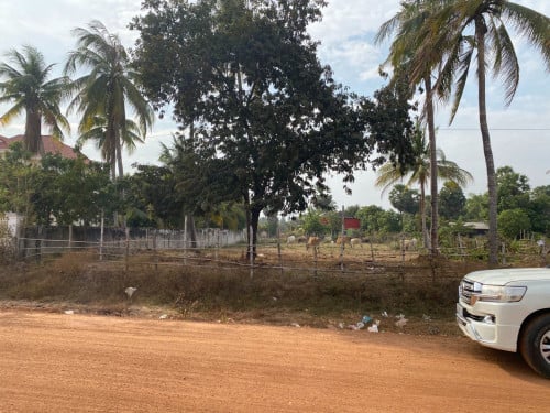 ដីលក់/Land for sale ក្រោមទីផ្សារ
