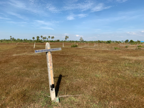 ដីលក់បន្ទាន់ តម្លៃក្រោមទីផ្សារ